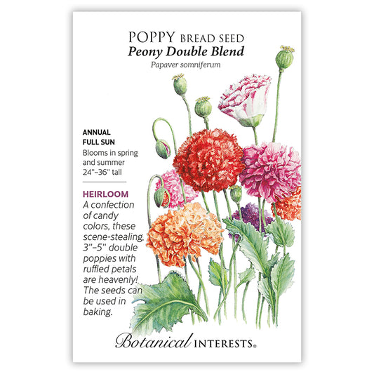 Bread Peony Double Blend