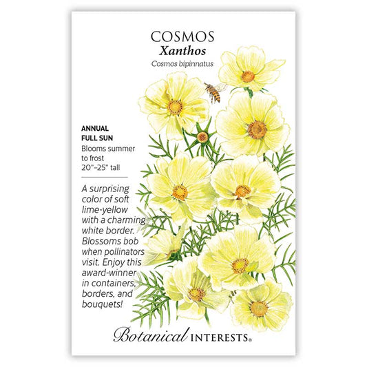 Cosmos Xanthos