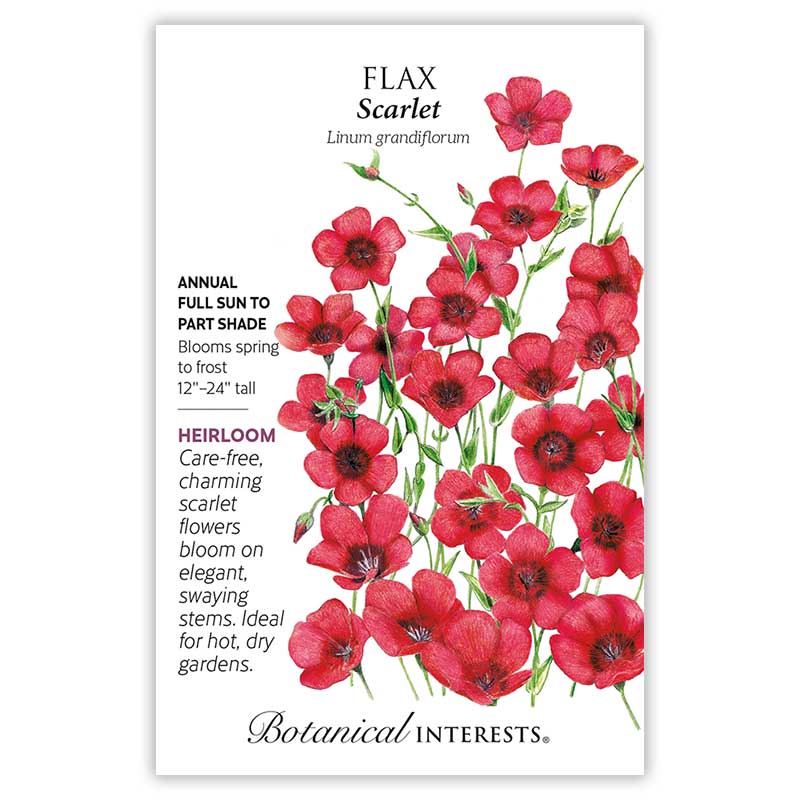 Flax Scarlet