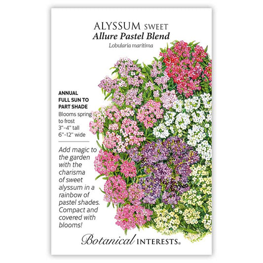 Alyssum Sweet Allure Pastel