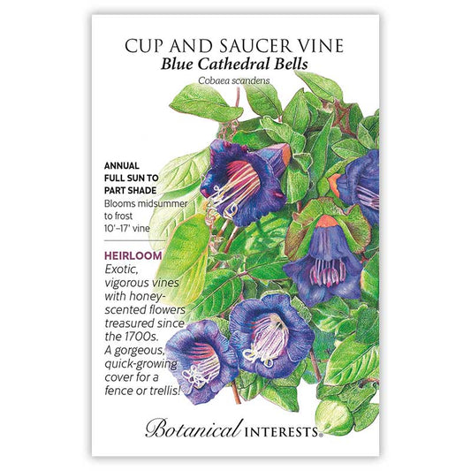 Cup Saucer Vine Blue Cathedral