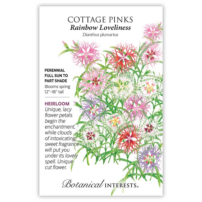 Cottage Pinks Rainbow Loveliness