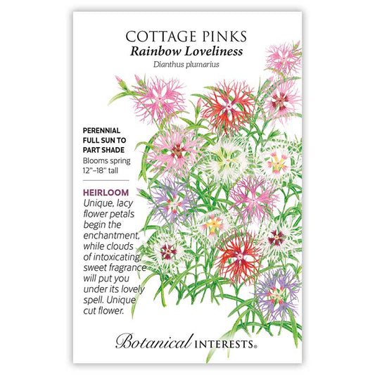 Cottage Pinks Rainbow Loveliness