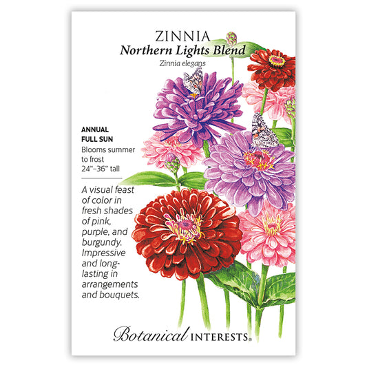 Zinnia Northern Light Blend