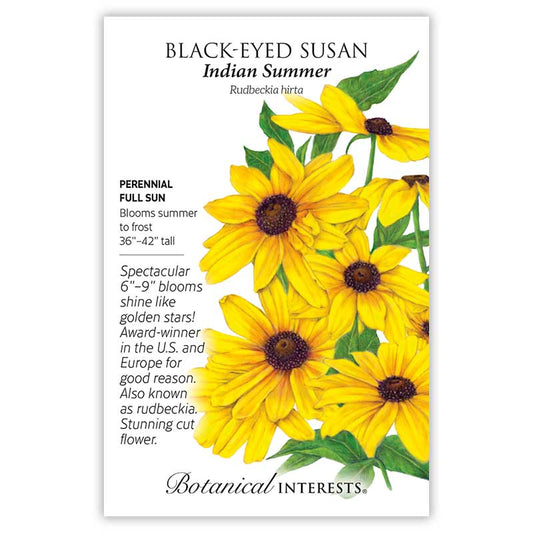Black Eyed Susan Indian Summer