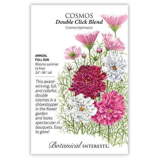 Cosmos Double Click Blend