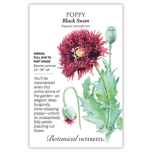 Poppy Bread Black Swan