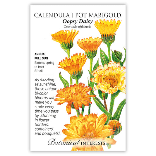 Calendula Oopsy Daisy