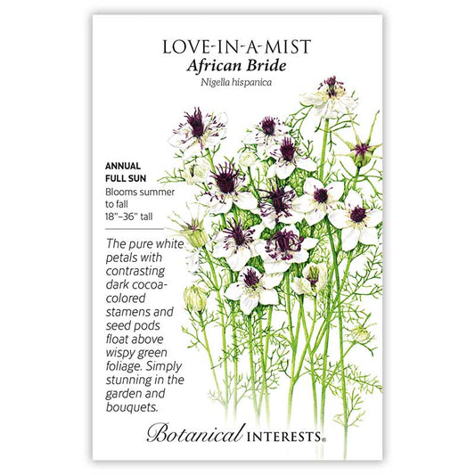 Love-in-a-Mist African Bride
