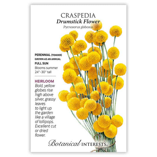 Craspedia