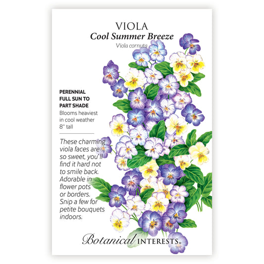 Viola Cool Summer Breeze