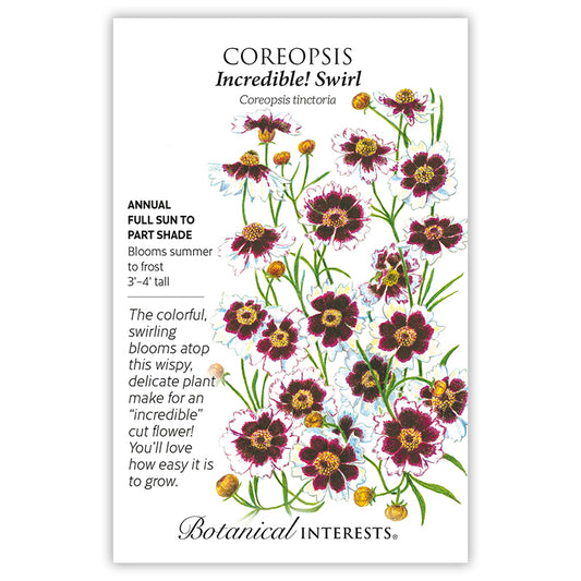 Coreopsis Incredible Swirl
