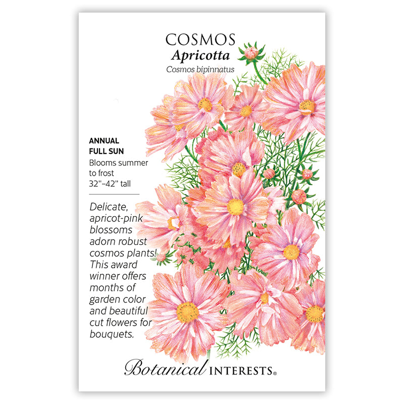 Cosmos Apricotta