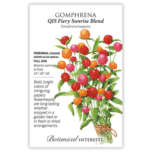 Gomphrena QIS Fiery Sunrise