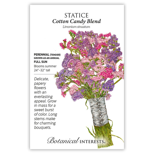 Statice Cotton Candy Blend