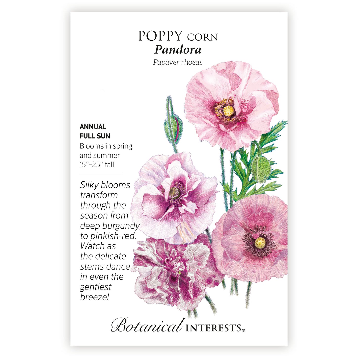 Poppy Corn Pandora
