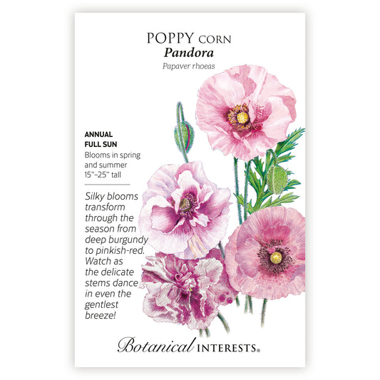 Poppy Corn Pandora