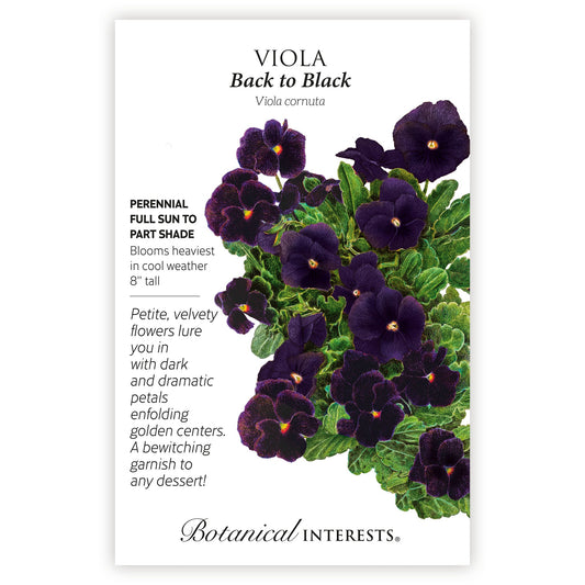 Viola Back to Black