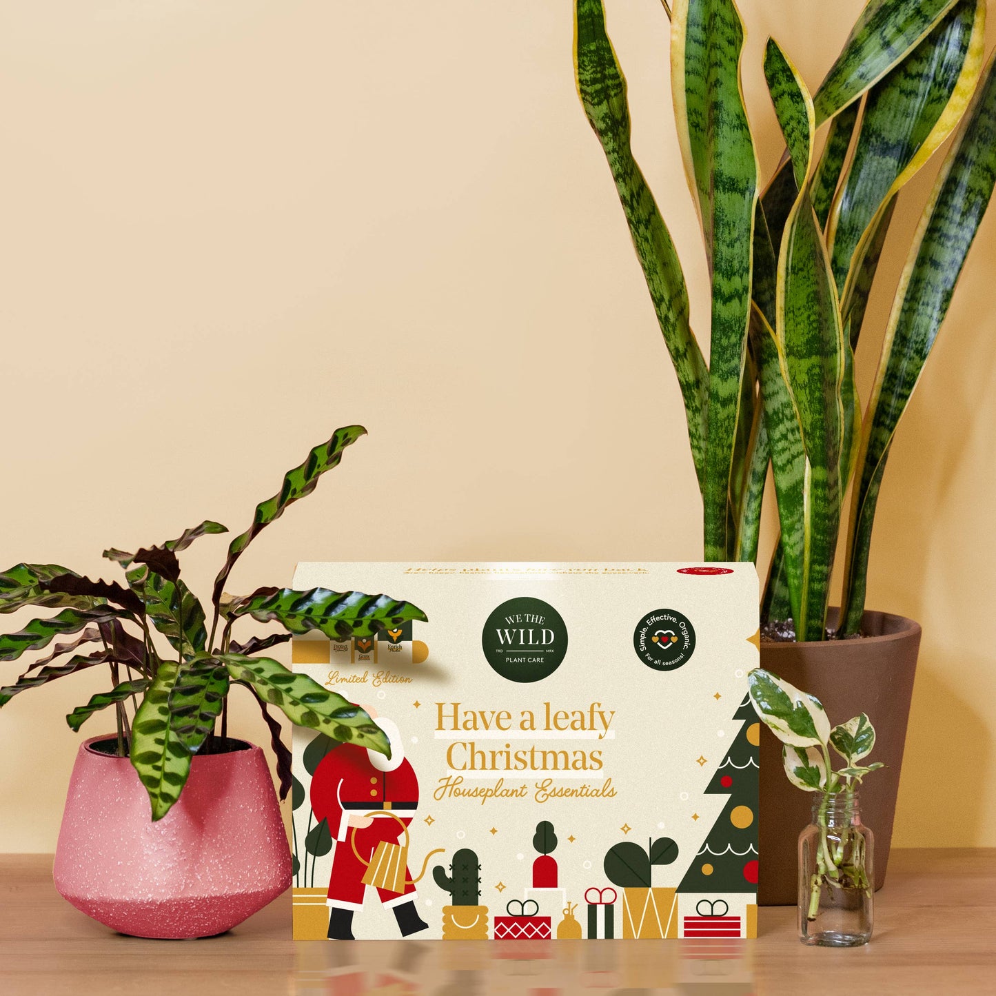 Santa Essential Plant Care Kit