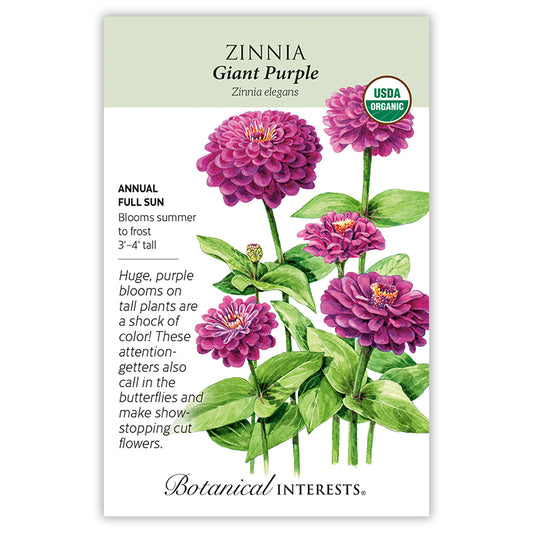 Zinnia Giant Purple Organic