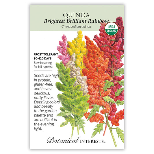 Quinoa Brightest Rainbow Organic