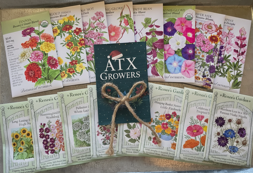 🎁 3-Month Gift – Flower & Pollinator Seed Subscription
