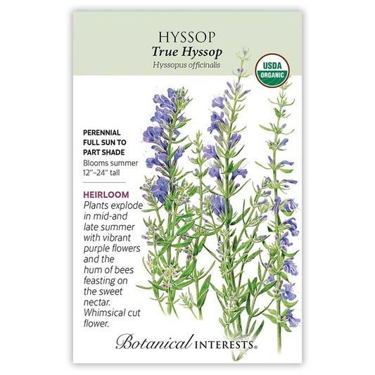 Hyssop True Organic