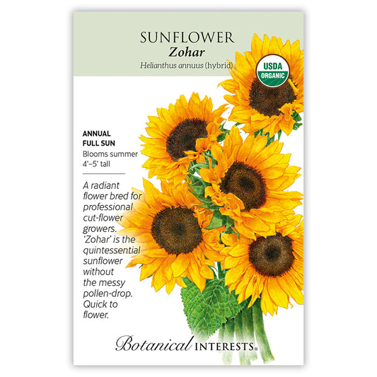 Sunflower Zohar hybrid Organic