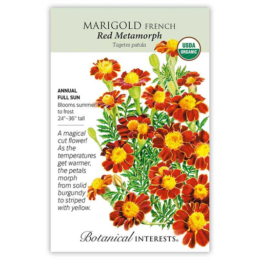Marigold French Red Metamorph Org