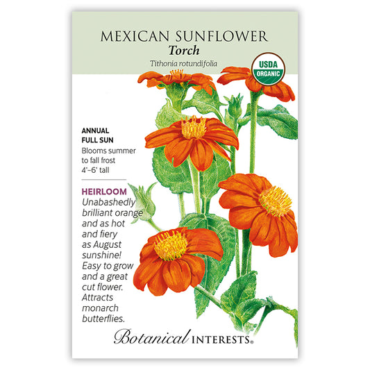 Sunflowet  Mexican Torch Organic