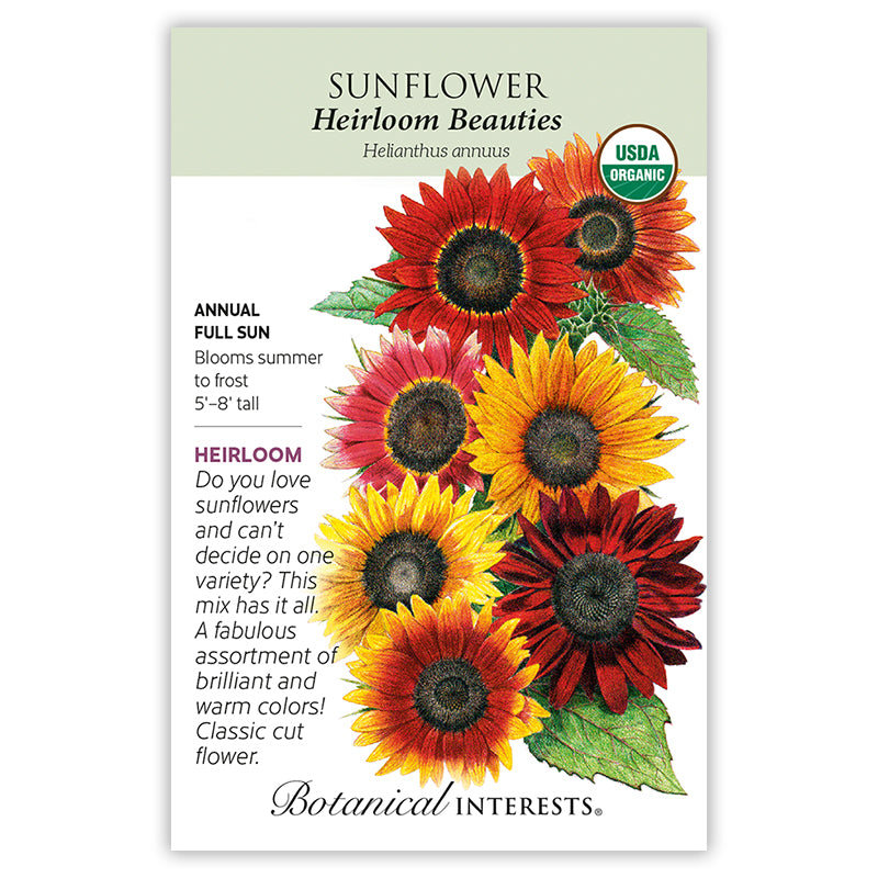 Sunflower Heirloom Beauties Organic