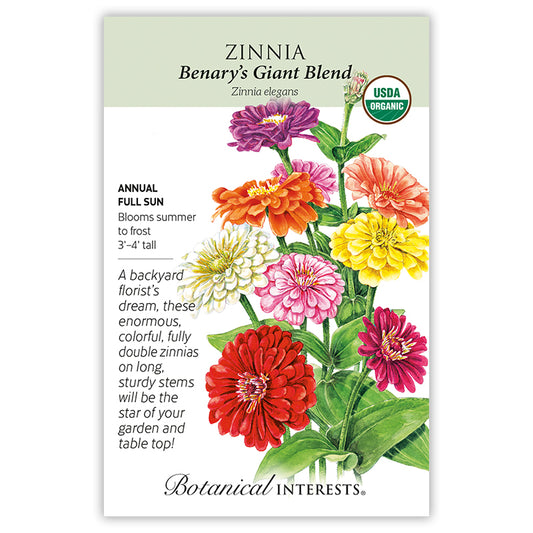 Zinnia Benary's Giant Blend Organic