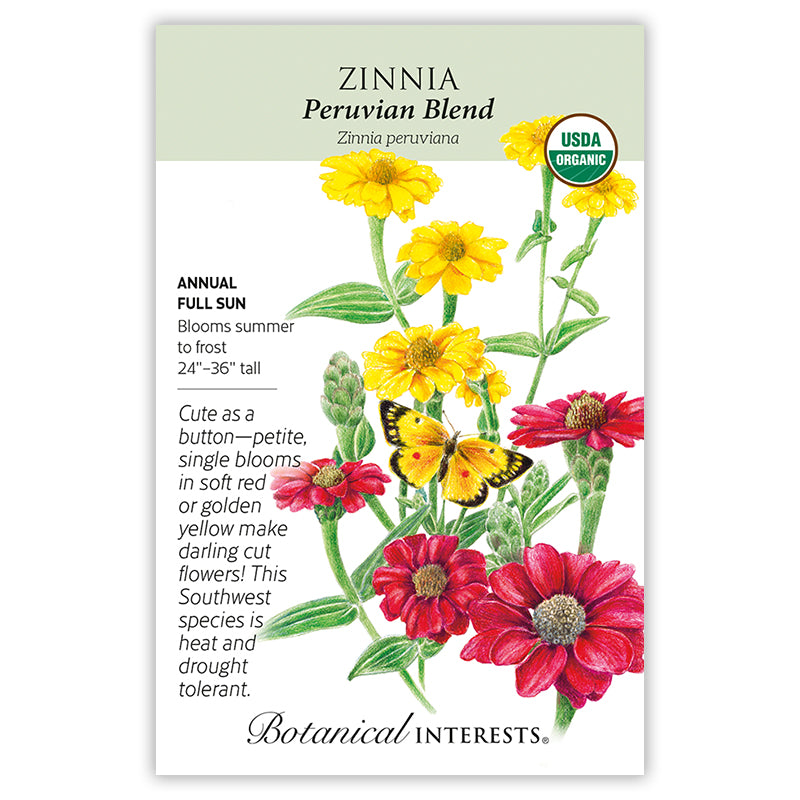 Zinnia Peruvian Red/Yellow Blend