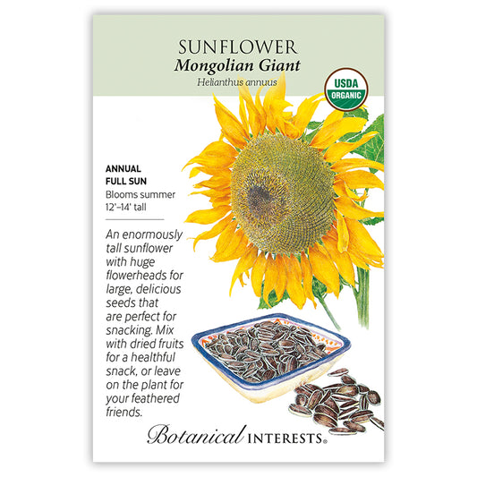 Sunflower Mongolian Giant Organic