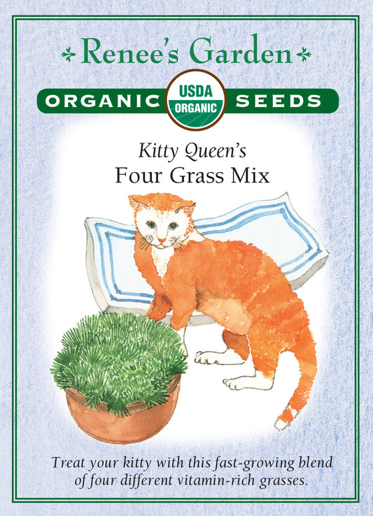 Cat Grass Kitty Queen Mix Organic
