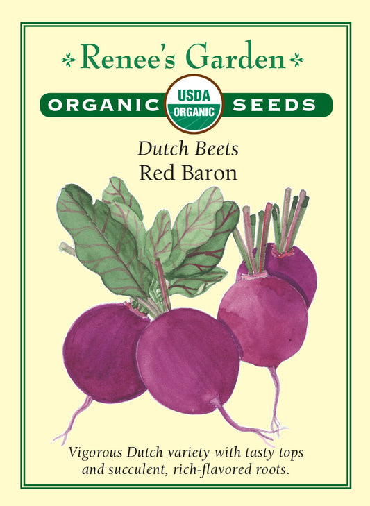 Beet Red Baron Organic