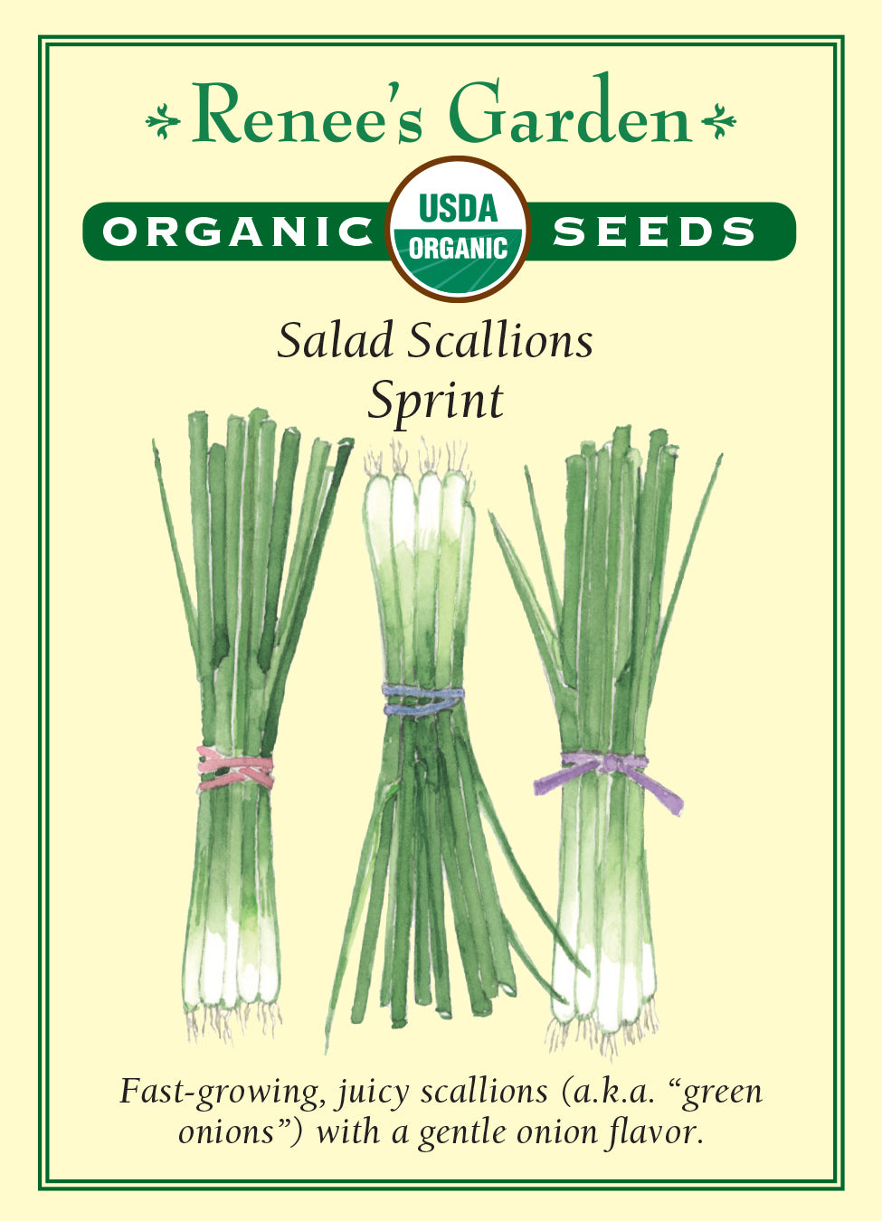 Onion Scallions Sprint Organic