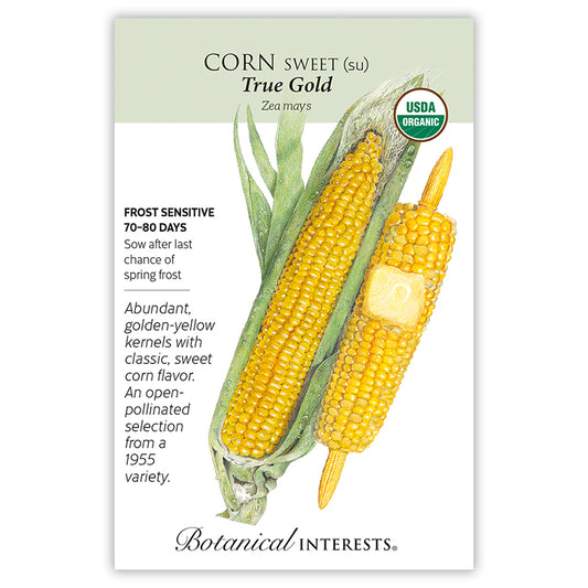 Corn Sweet Yellow True Gold Organic