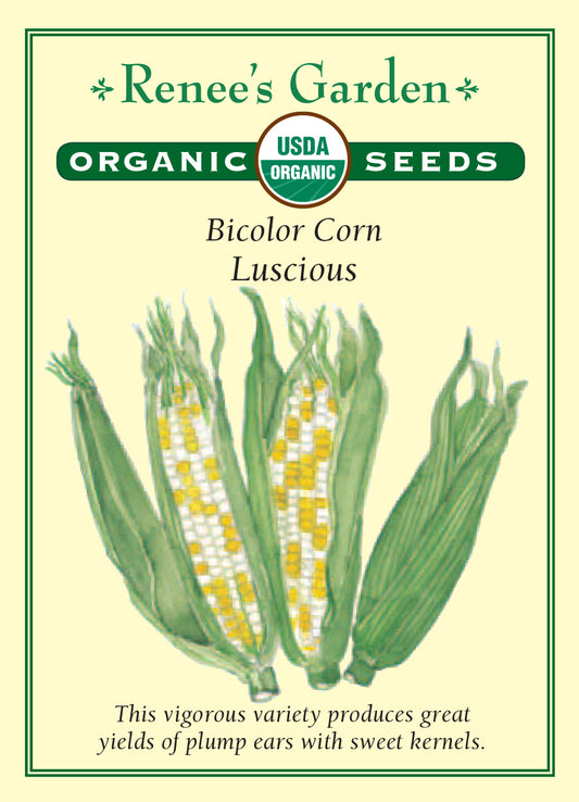 Corn Luscious Bicolor Organic