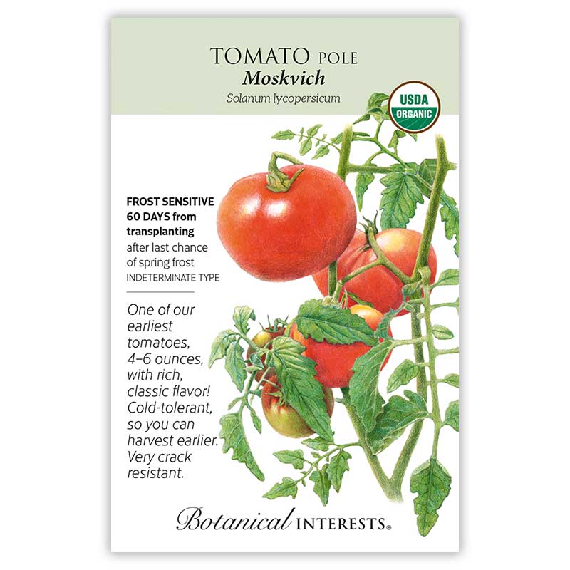 Tomato Pole Moskvich Organic