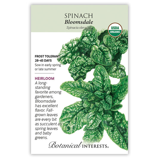Spinach Bloomsdale Organic