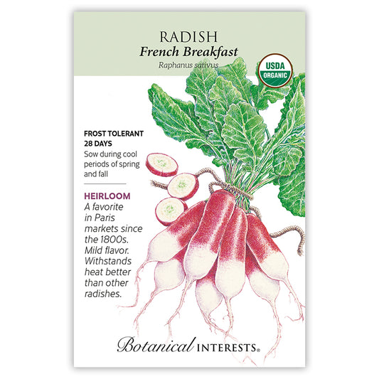 Radish French Breakfast