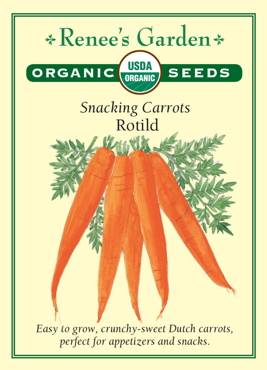 Carrot Rotild Organic