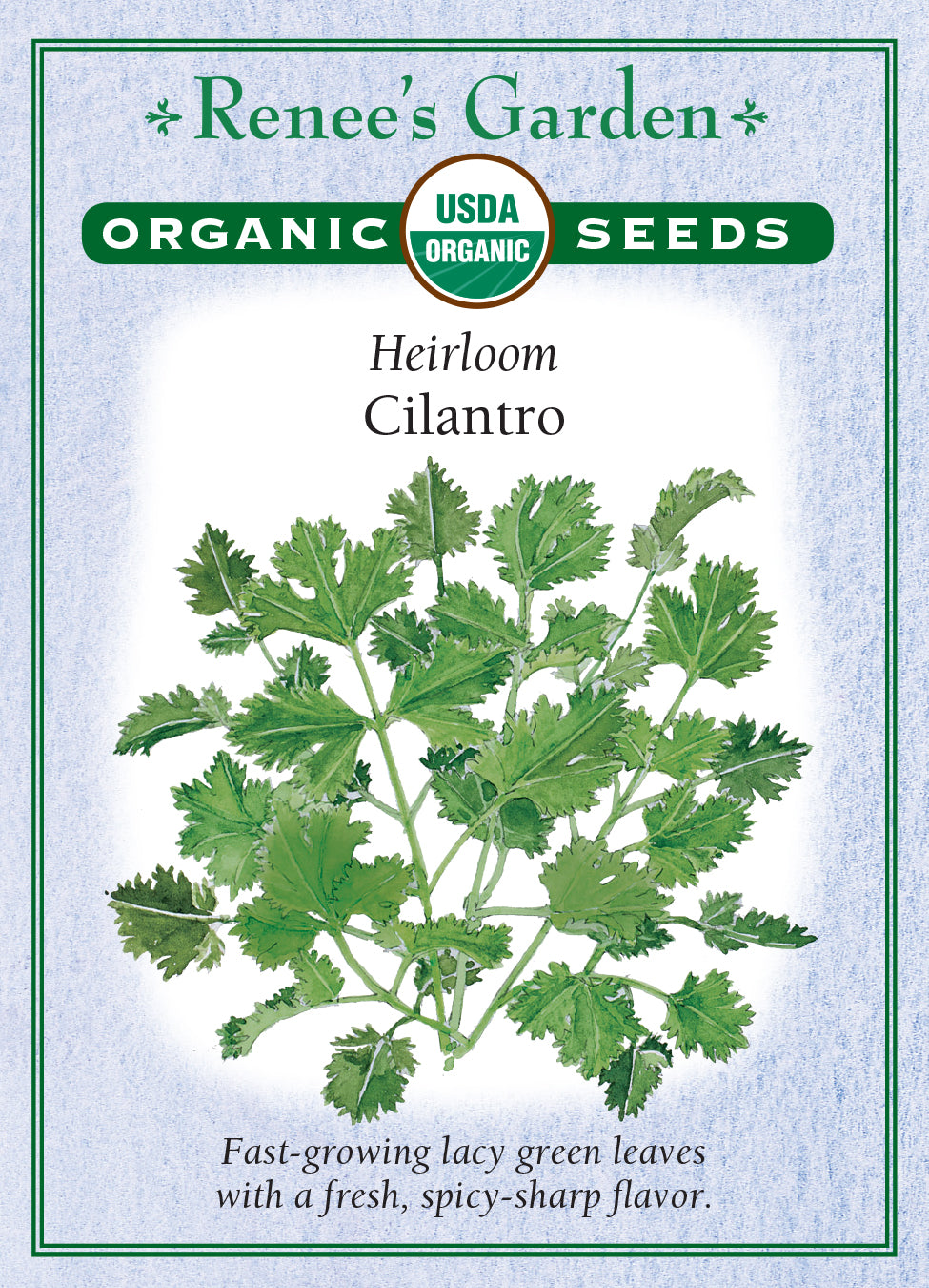 Cilantro/Coriander Organic