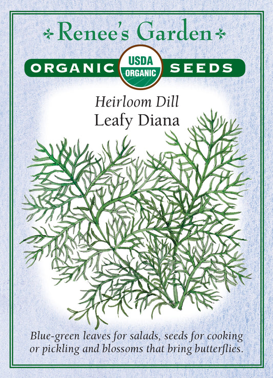 Dill  Leafy Diana Organic