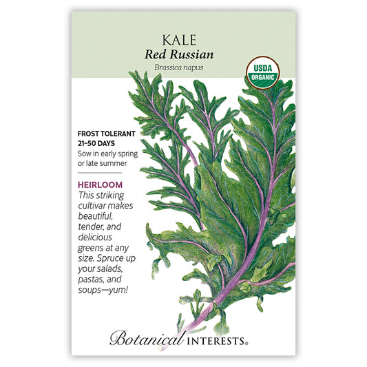 Kale Red Russian Organic