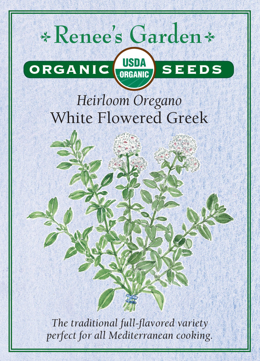 Oregano White Flowered Greek Organic