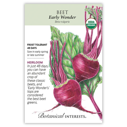Beet (red) Early Wonder Organic