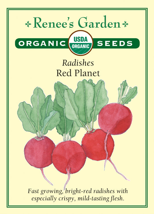 Radish Red Planet Organic