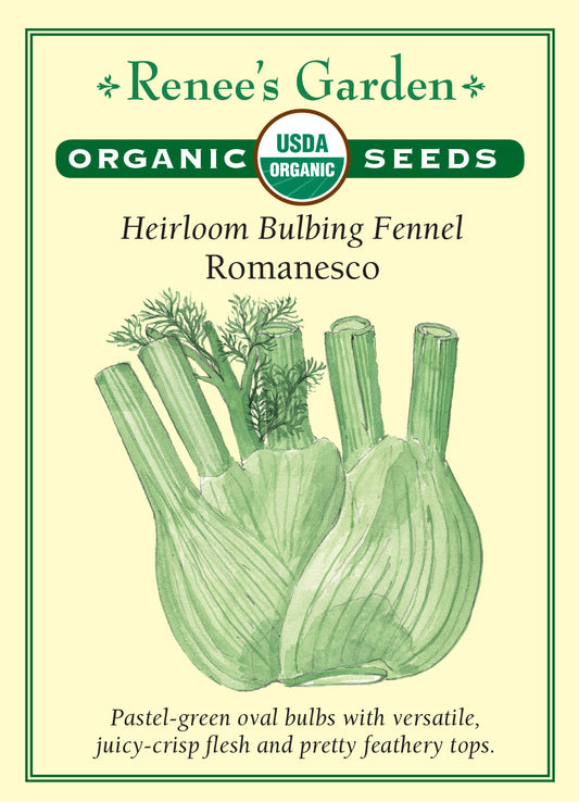 Fennel Romanesco Bulbing Organic